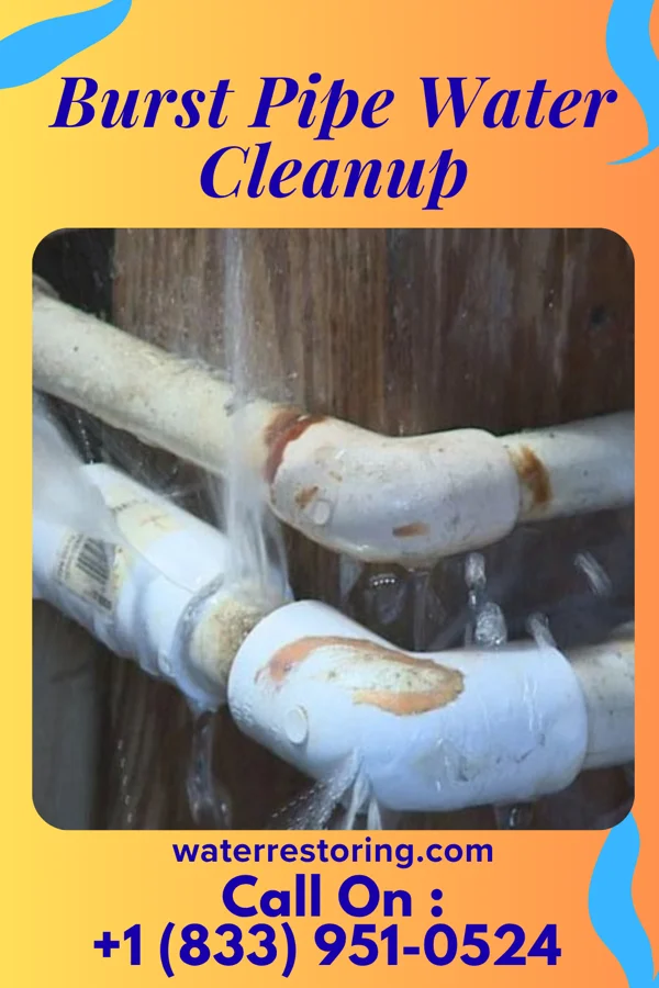 Burst Pipe Water Cleanup in McGrath, MN