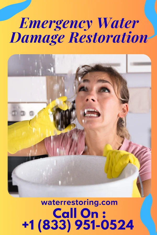 Emergency Water Damage Restoration in McGrath, MN