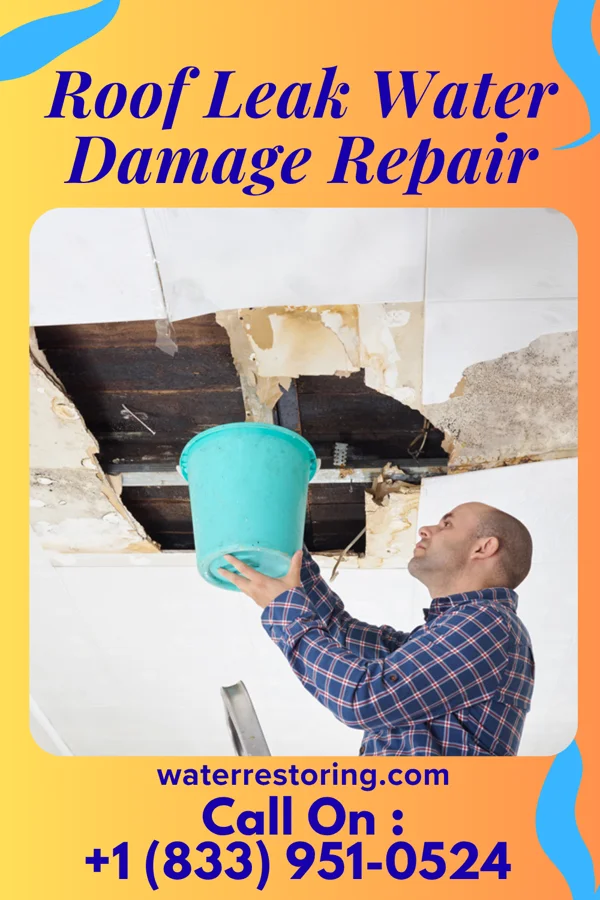 Roof Leak Water Damage Repair in McGrath, MN